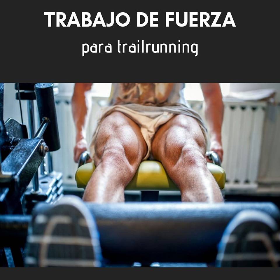 Trabajo de fuerza - FG Preparación física