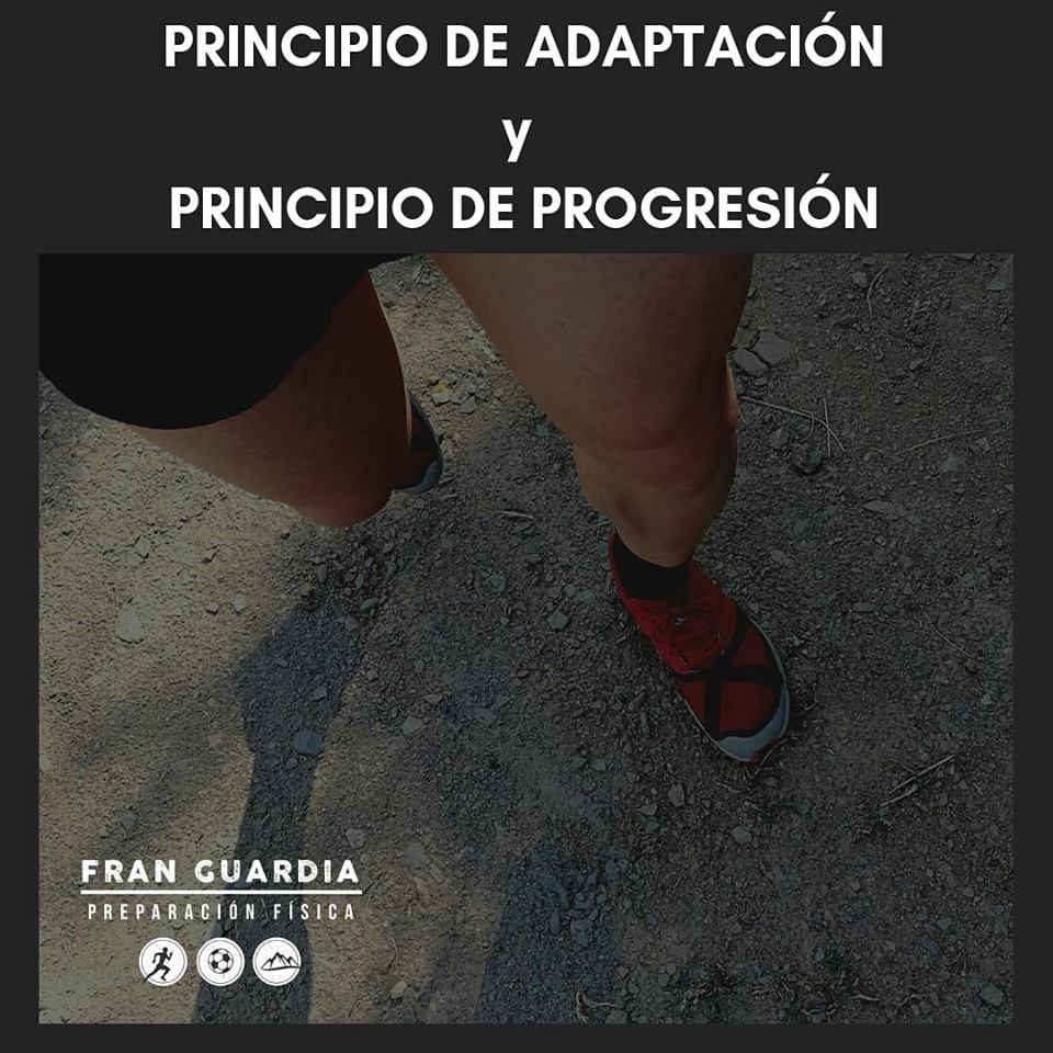 Principio de adaptación y principio de progresión - FG Preparación física