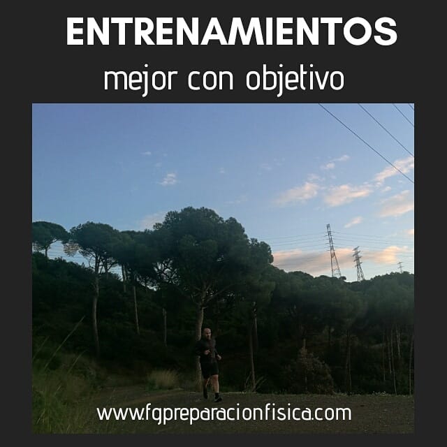 Entrenamientos con objetivos - FG Preparación física